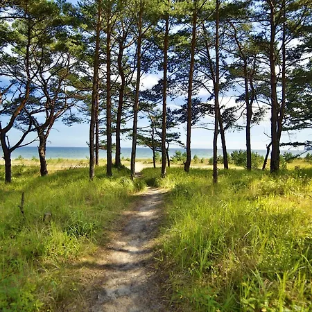 Penthouse Mit Dachterrasse Pier 5.4 Apartment Binz