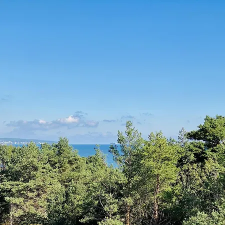 Penthouse Mit Dachterrasse Pier 5.4 *